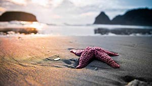 《自爆无人机模拟器》中文版